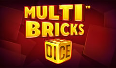 Synot - Multi Bricks Dice