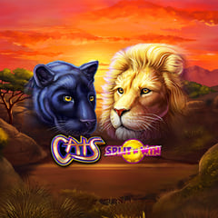 IGT - Cats Split ‘N’ Win