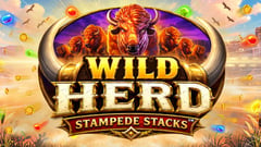 Infinity Dragon Studios - Wild Herd Stampede Stacks
