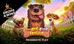 Pragmatic Play - The Big Dog House