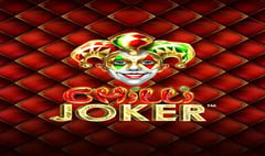 Synot - Chilli Joker