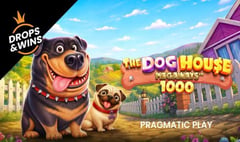 Pragmatic Play - The Dog House Megaways 1000