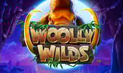 All41 Studios - Woolly Wilds