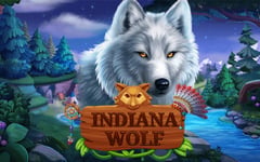 Habanero - Indiana Wolf