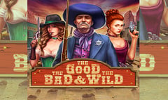 Wizard Games - The Good, The Bad & The Wild
