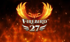 Synot - Firebird 27