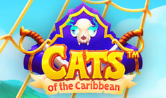 Snowborn Games - Cats of the Caribbean