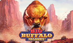 Skywind - Big Buffalo Megaways