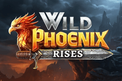 Mascot - Wild Phoenix Rises
