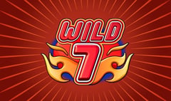 Amatic - Wild 7