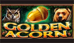 CT Interactive - Golden Acorn