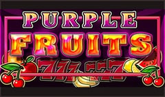 CT Interactive - Purple Fruits