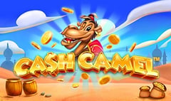 iSoftBet - Cash Camel