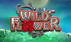 Big Time Gaming - Wild Flower