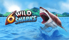 4ThePlayer - 6 Wild Sharks