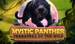 Infinity Dragon Studios - Mystic Panther Treasures of the Wild