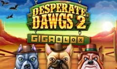 Reflex Gaming - Desperate Dawgs 2 Gigablox