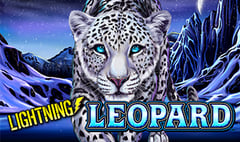 Lightning Box - Lightning Leopard