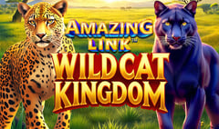 SpinPlay Games - Amazing Link - WildCat Kingdom