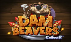 ELK - Dam Beavers