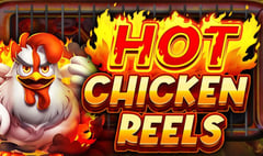 Reevo - Hot Chicken Reels