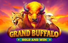 BGaming - Grand Buffalo Hold And Win