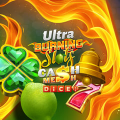 BF Games - Burning Slots Cash Mesh Ultra Dice