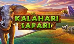 Lightning Box - Kalahari Safari