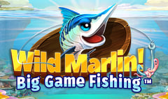 Infinity Dragon Studios - Wild Marlin! - Big Game Fishing