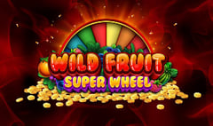 Wizard Games - Wild Fruit Super Wheel