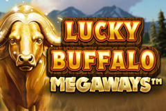 Reevo - Lucky Buffalo Megaways