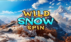MGA - Wild Snow Spin