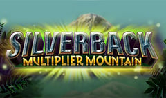 JFTW - Silverback Multiplier Mountain