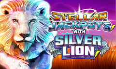 Lightning Box - Stellar Silver Lion