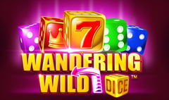 Synot - Wandering Wild Dice