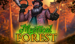 Indigo Magic - Mystical Forest