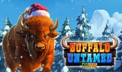 Betixon - Buffalo Untamed