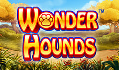 NextGen - Wonder Hounds
