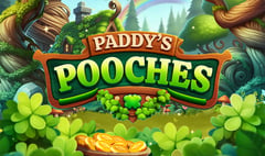 Indigo Magic - Paddy’s Pooches