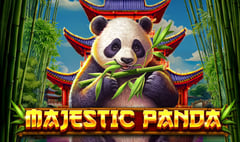Spinomenal - Majestic Panda